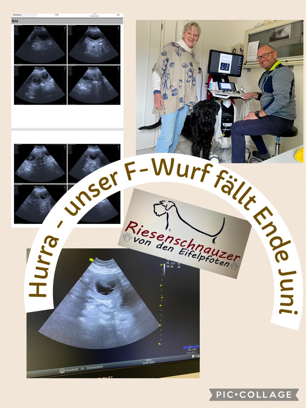 3fc49396-9324-4614-b716-0c4dd804cca2