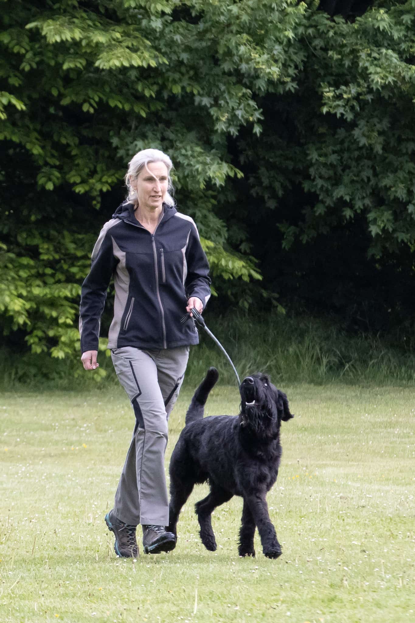 713686f8-0411-45a0-9c53-141eace79c78