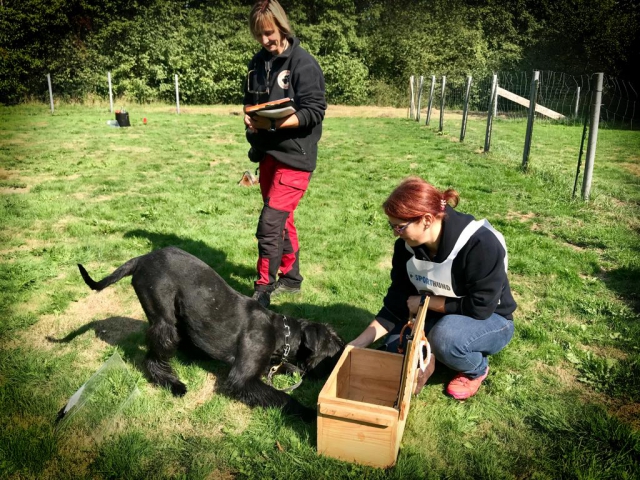 Wurftreffen nach 1 Jahr