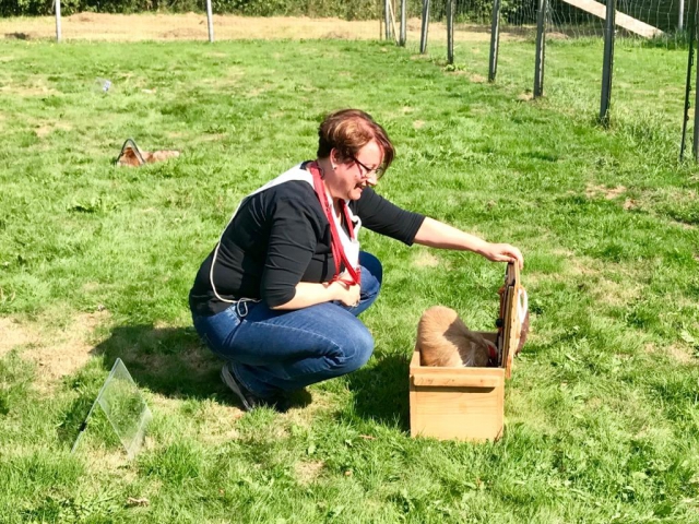 Wurftreffen nach 1 Jahr