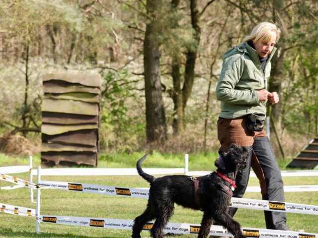 Deja vu vom Stolzenstern