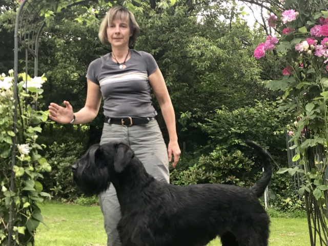 Deja vu vom Stolzenstern