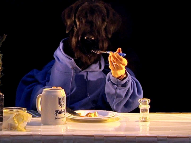 Deja vu vom Stolzenstern