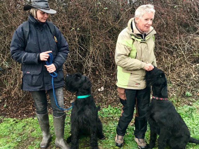 Deja vu vom Stolzenstern