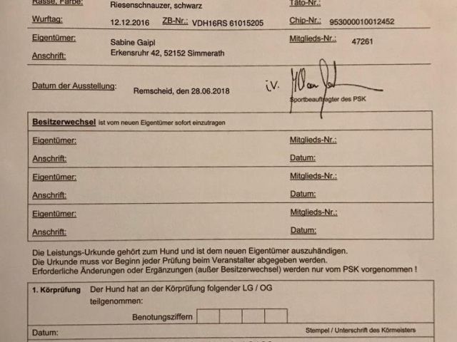 Deja vu vom Stolzenstern