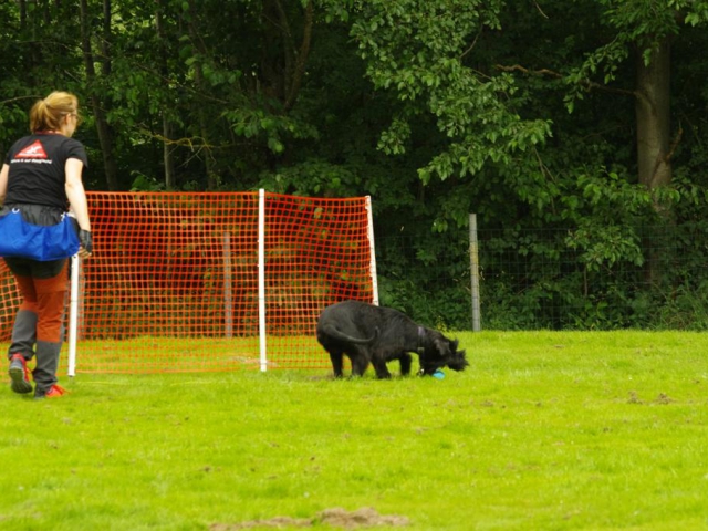 Bea Von Den Eifelpfoten