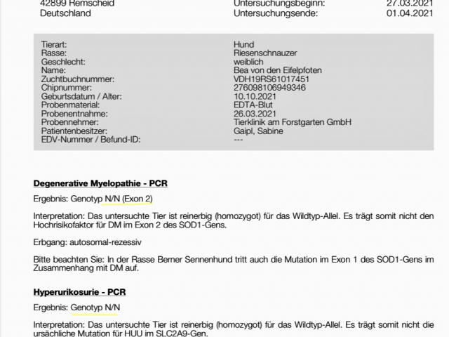 Bea Von Den Eifelpfoten