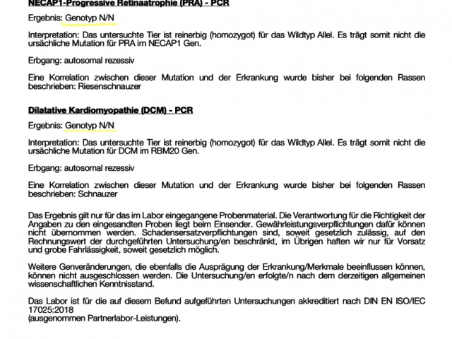 Bea Von Den Eifelpfoten